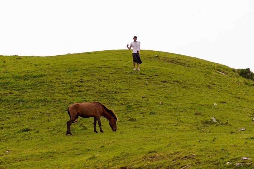 A person standing on a grassy hill with a horse grazing in the foreground. 4
