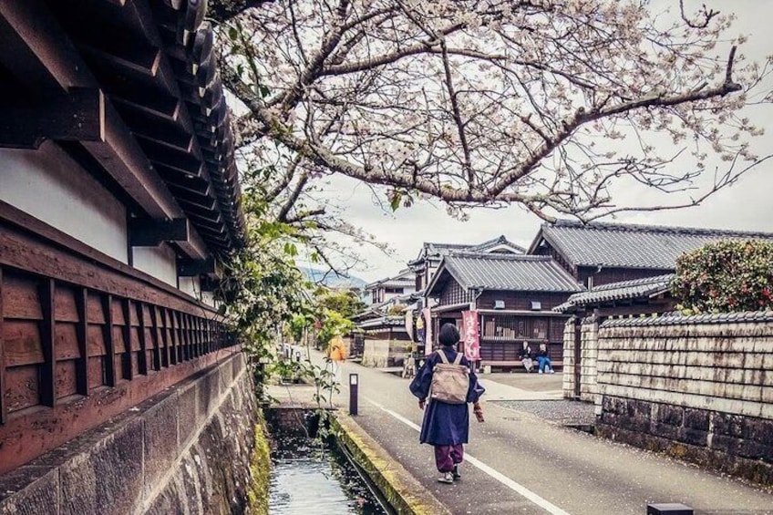 A traditional Japanese street with cherry blossoms, a person walking, and historic buildings. 3