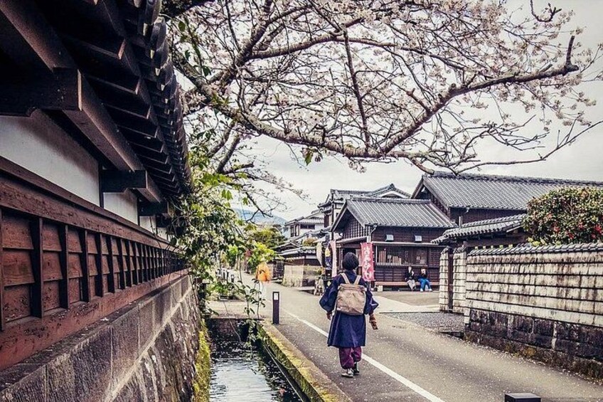 A traditional Japanese street with a person walking, cherry blossoms, and traditional buildings. 2