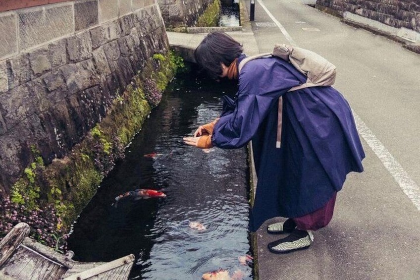 A person feeding koi fish in a narrow waterway. 2