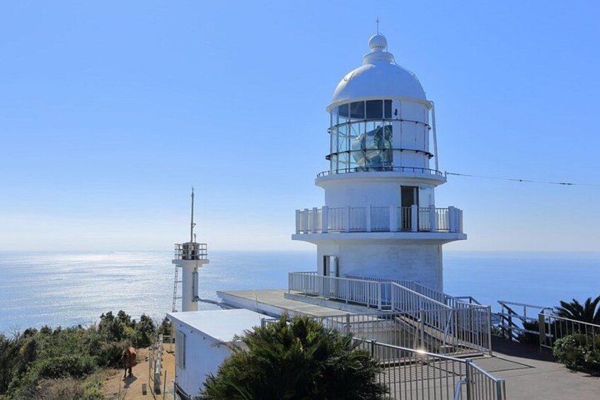 A lighthouse with a white dome and a smaller tower, surrounded by greenery and overlooking the sea. 4