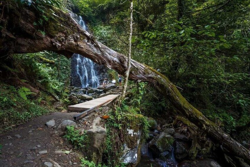 A wooden bridge over a waterfall in a forested area. 1