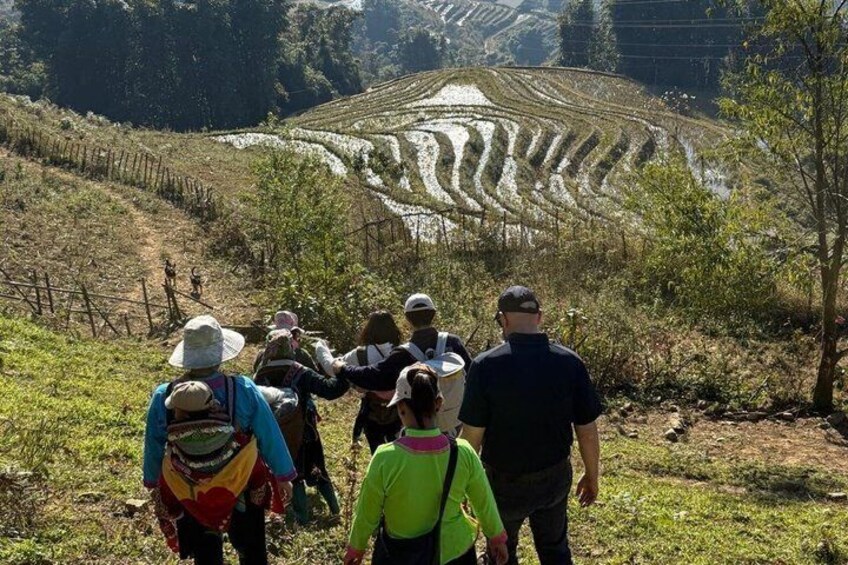 A group of people hiking towards terraced rice fields. 2