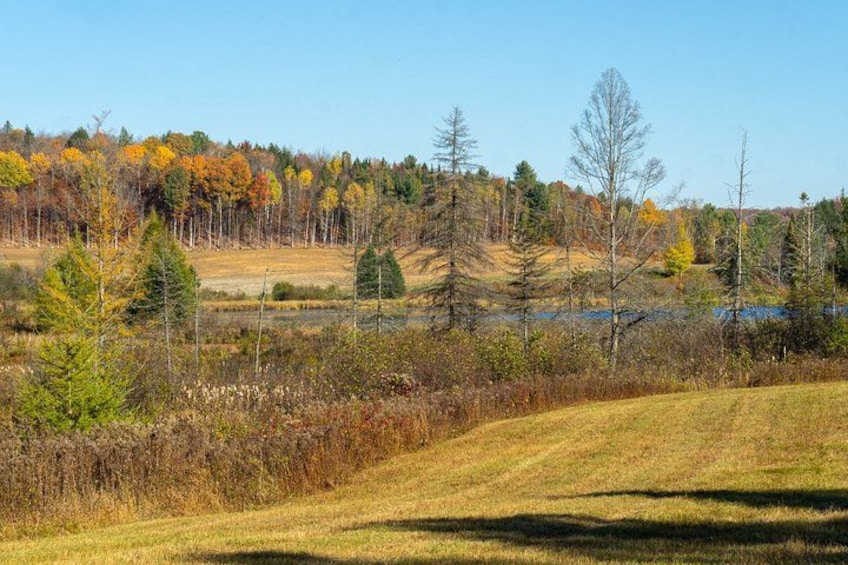 A forested landscape with a river, grassy fields, and autumn-colored trees. 3