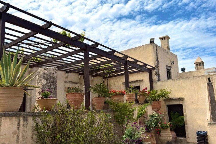 A courtyard with a pergola, potted plants, and a building with a flat roof. 4