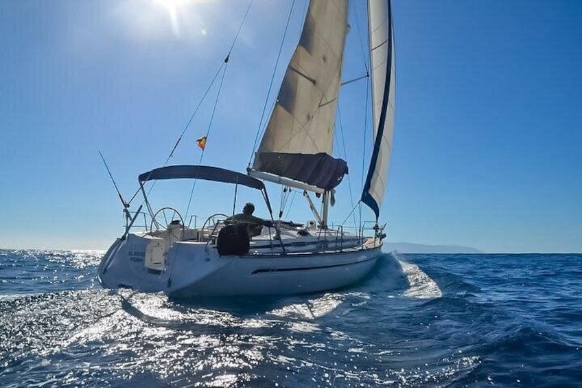 Sailing excursions 4