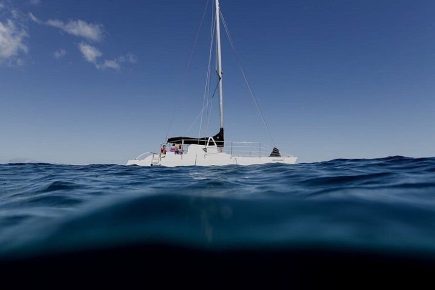 Snorkel and Catamaran Sail 2