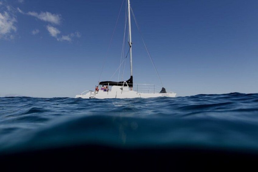Snorkel and Catamaran Sail 2