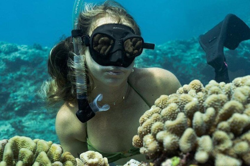 Snorkel and Catamaran Sail 3