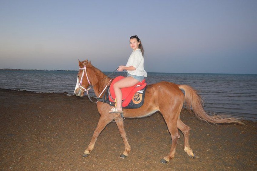 A person riding a horse on a beach with the ocean in the background. 4