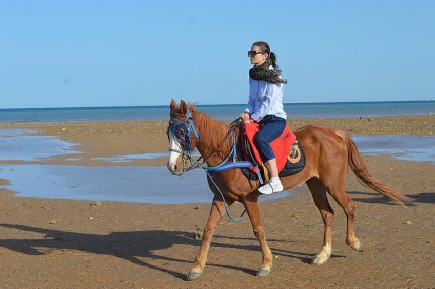 A person riding a horse on a sandy beach with the ocean in the background. 2