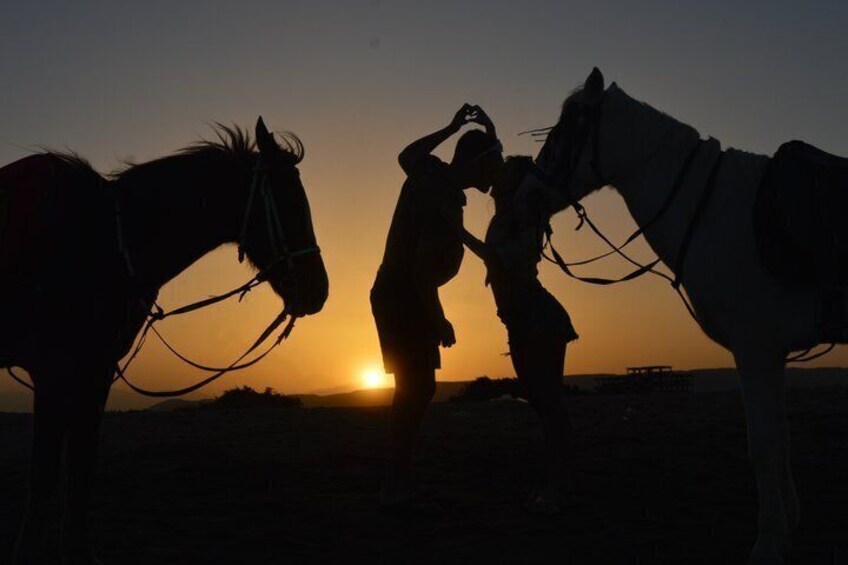 Silhouettes of two horses and a person at sunset. 5