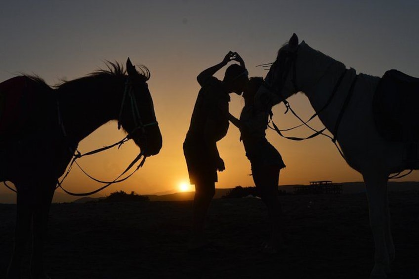 Two horses and a person silhouetted against a sunset. 5
