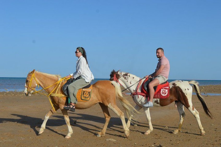 Two people riding horses on a beach with the ocean in the background. 3