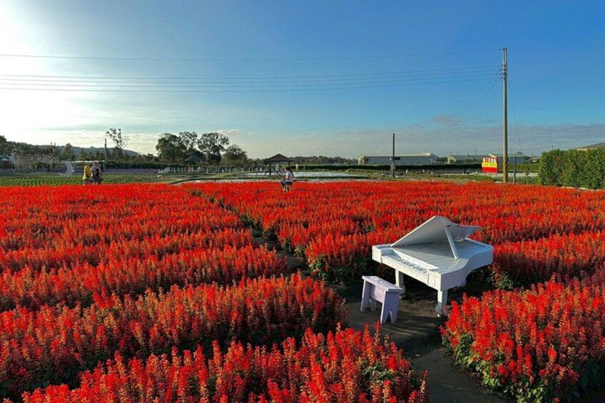 Taichung & Gaomei Wetland: Landmark Day Tour from Taipei 3