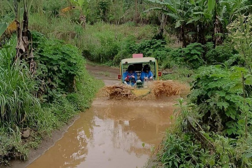 A vehicle navigating a muddy water crossing surrounded by dense vegetation. 5