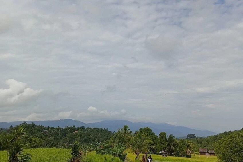 A rural landscape with green fields, scattered trees, and distant mountains under a cloudy sky. 3
