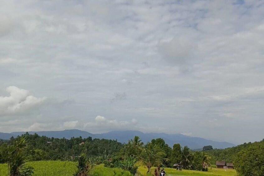 A rural landscape with green fields, scattered trees, and distant mountains under a cloudy sky. 3