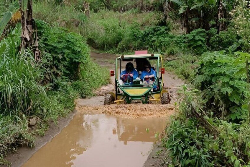 A vehicle navigating a muddy path in a lush, green environment. 4
