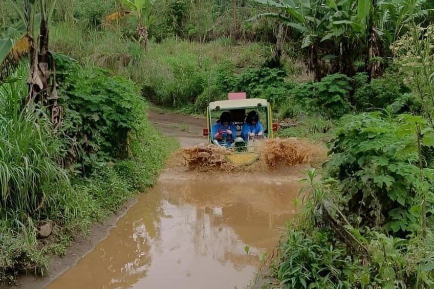 A vehicle navigating a muddy water crossing surrounded by dense vegetation. 5
