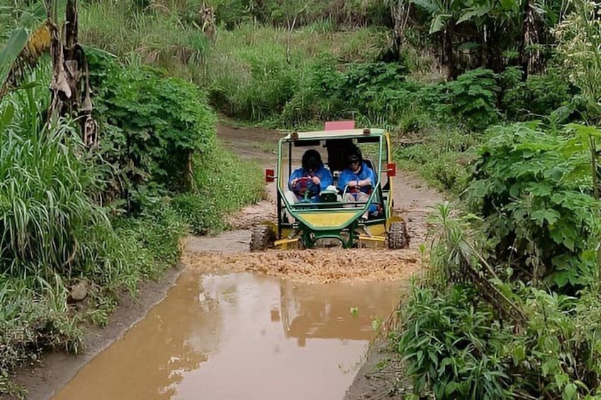 A vehicle navigating a muddy water crossing surrounded by lush greenery. 4