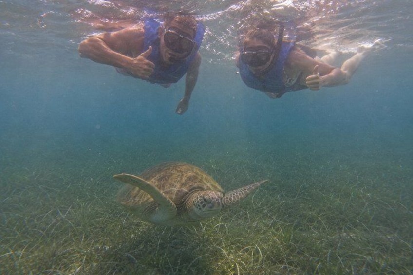 Two snorkelers swimming underwater with a sea turtle on the ocean floor. 3