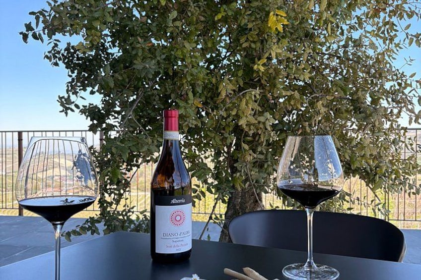 A bottle of wine and two glasses on a table outdoors with a tree and a fence in the background. 2