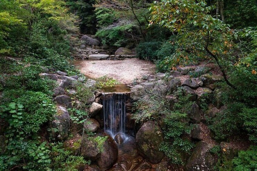 A small waterfall surrounded by rocks and greenery. 5