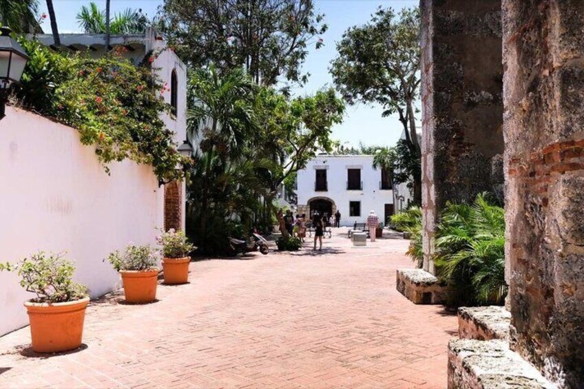 A paved alleyway with potted plants, a white building with arched windows, and a clear sky. 4