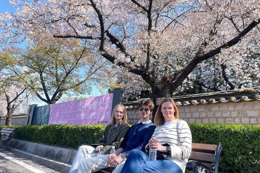 Three people sitting on a bench under cherry blossoms. 3