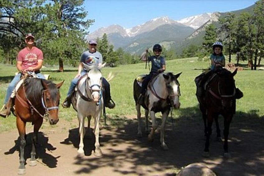 Relaxing Half Day Horseback Ride in Rocky Mountain National Park 4