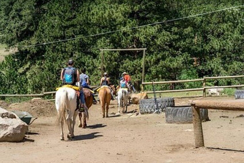 Relaxing Half Day Horseback Ride in Rocky Mountain National Park 1