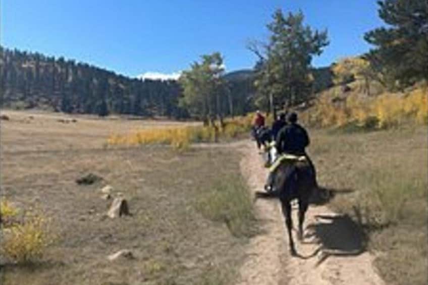 Relaxing Half Day Horseback Ride in Rocky Mountain National Park 2