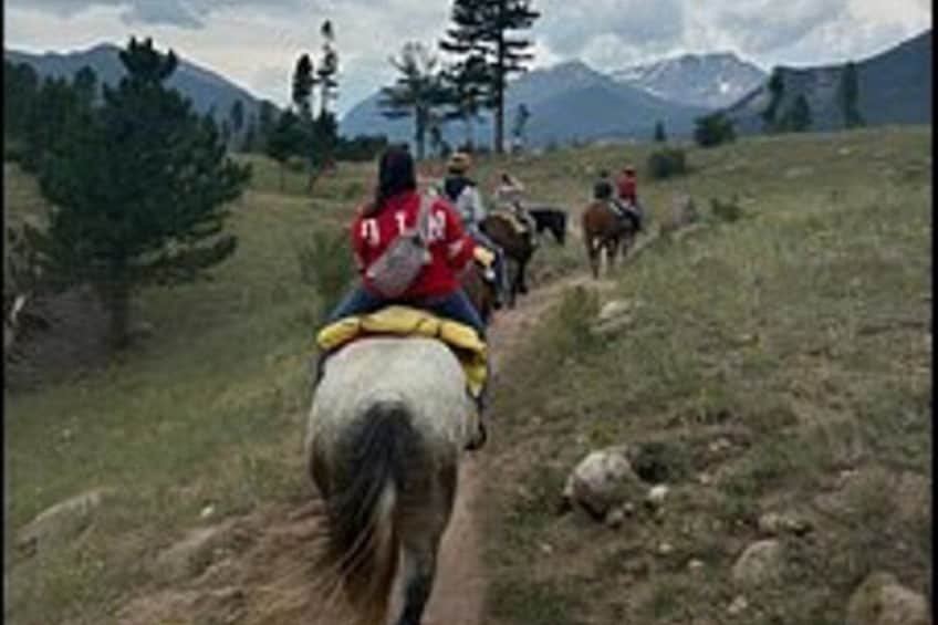 Relaxing Half Day Horseback Ride in Rocky Mountain National Park 5
