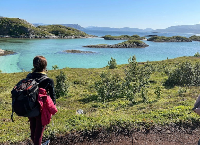 Picture 2 for Activity Tromsø: Sommarøy Roundtrip Bus Transfer with Arctic Route 2