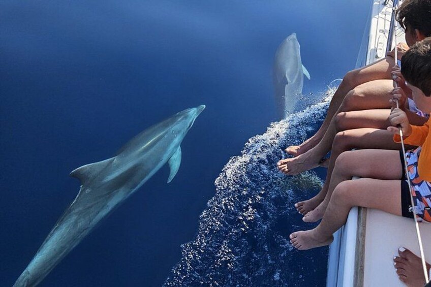 A dolphin jumping out of the water near a boat with people watching. 1