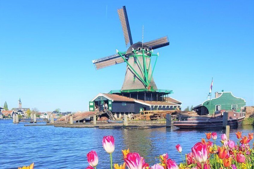  Zaanse Schans cheese factory farm & Volendam Tour: countryside & windmills