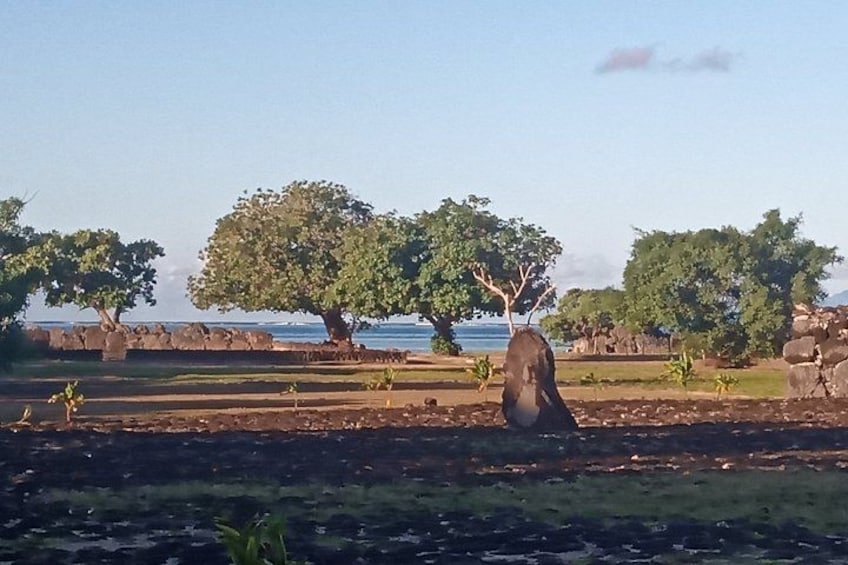 Discovery of the green side of the sacred island and its history 3
