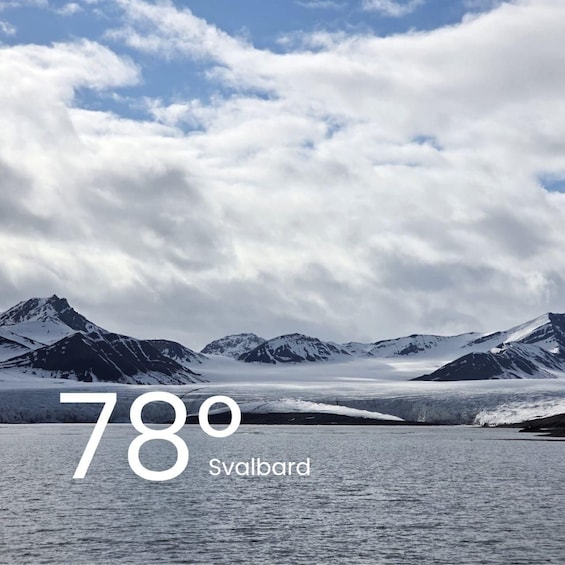 Picture 4 for Activity Svalbard: Scenic Cruise – 1.5 h 2