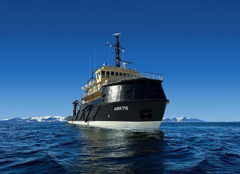 A large ship named ARKTIS sailing on a calm sea with snow-capped mountains in the background. 1