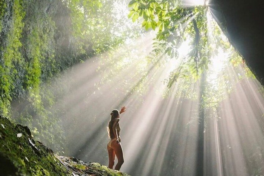 A person standing in a forest with sunlight filtering through the trees. 4