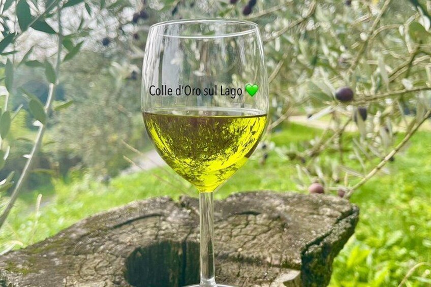 A glass of white wine with 'Colle d'Oro sul Lago' written on it, placed on a rock with greenery in the background. 4
