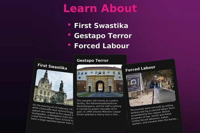 Three historical topics: First Swastika, Gestapo Terror, and Forced Labour. 2
