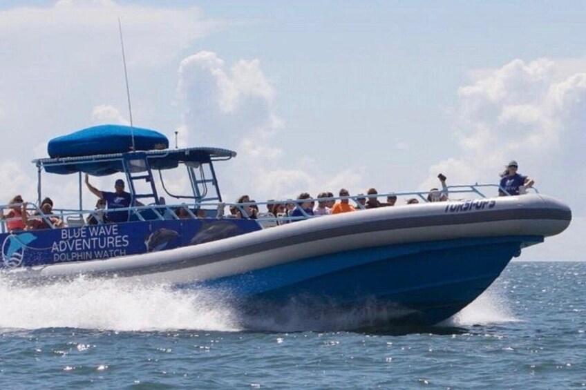 A blue boat with passengers, labeled 'Blue Wave Adventures Dolphin Watch,' moving through water. 2
