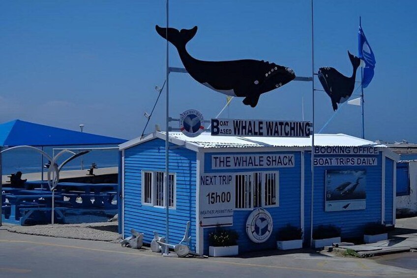 A blue building labeled 'The Whale Shack' with whale silhouettes and a 'Boat Whale Watching' sign. 3