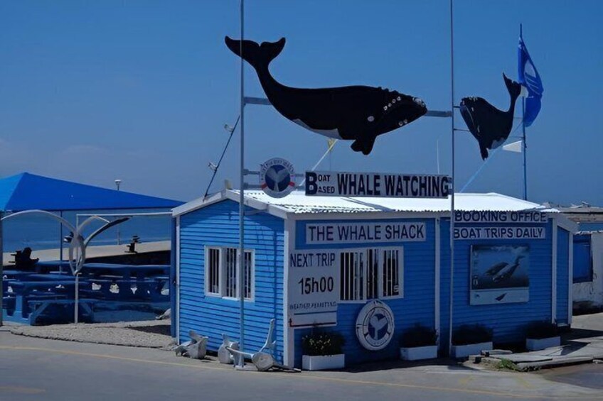 A blue building labeled 'The Whale Shack' with whale watching signs and a booking office. 3