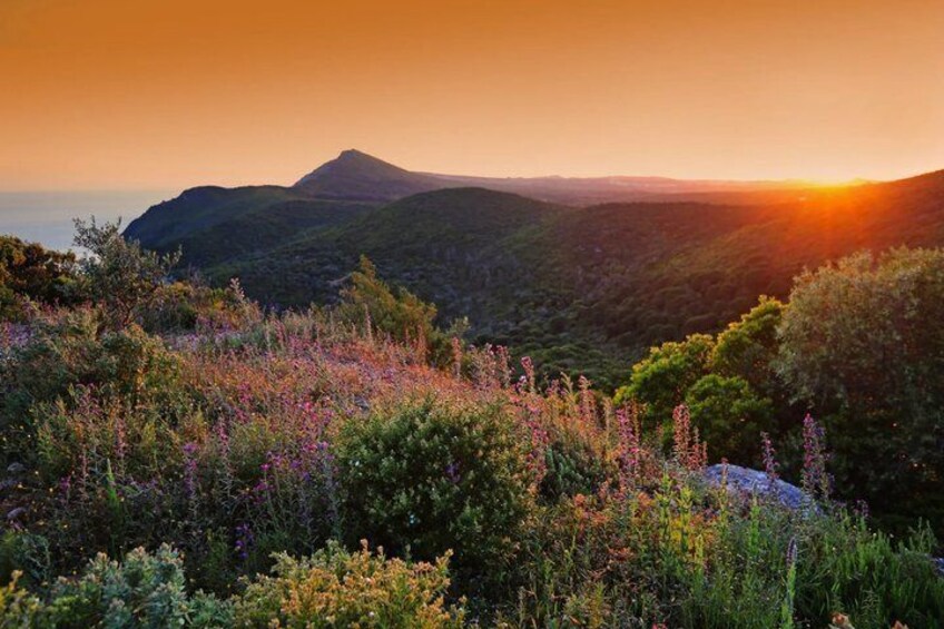 A mountainous landscape with a sunset, wildflowers, and a prominent hill in the background. 2