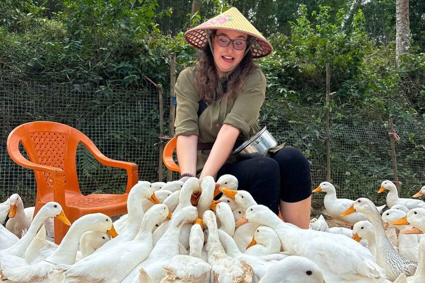 A person with a bucket surrounded by geese. 5