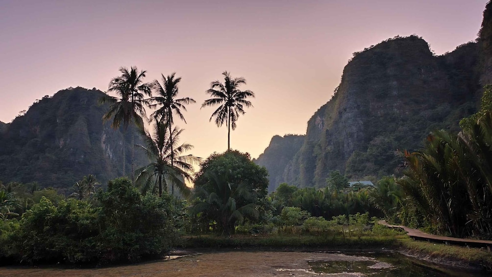 A river with palm trees and a mountain in the background. 5