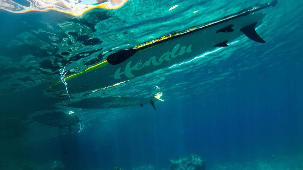Picture 3 for Activity Ibiza: Paddle Board Excursion from Cala Vadella 2